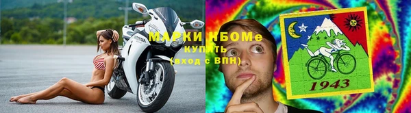 ПСИЛОЦИБИНОВЫЕ ГРИБЫ Алексин